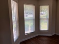Img 0733