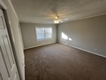 Pic 7